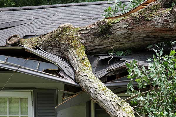 Emergency Roof Damage Repair Services